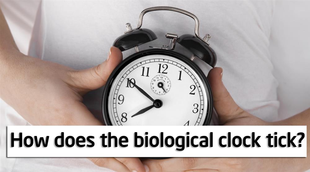 How does the biological clock tick? IELTS reading practice test