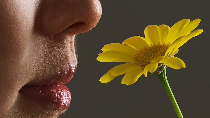 Smell Meaning In Marathi