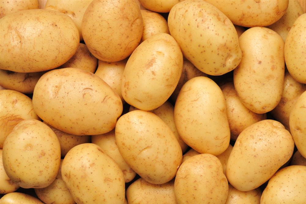 What Do Potato Mean In Spanish