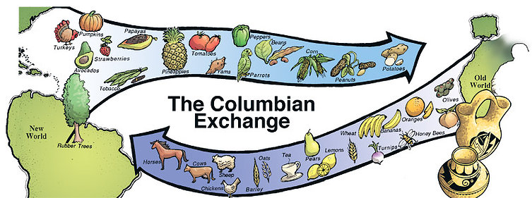 columbian exchange mapping activity answer key