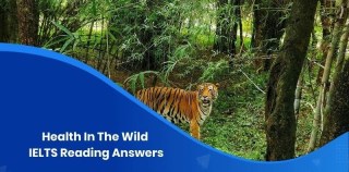 Answers for Health in the Wild - IELTS reading practice test